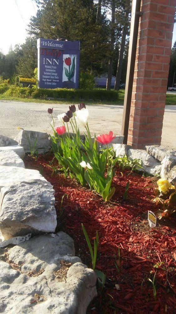 Motel Tulip